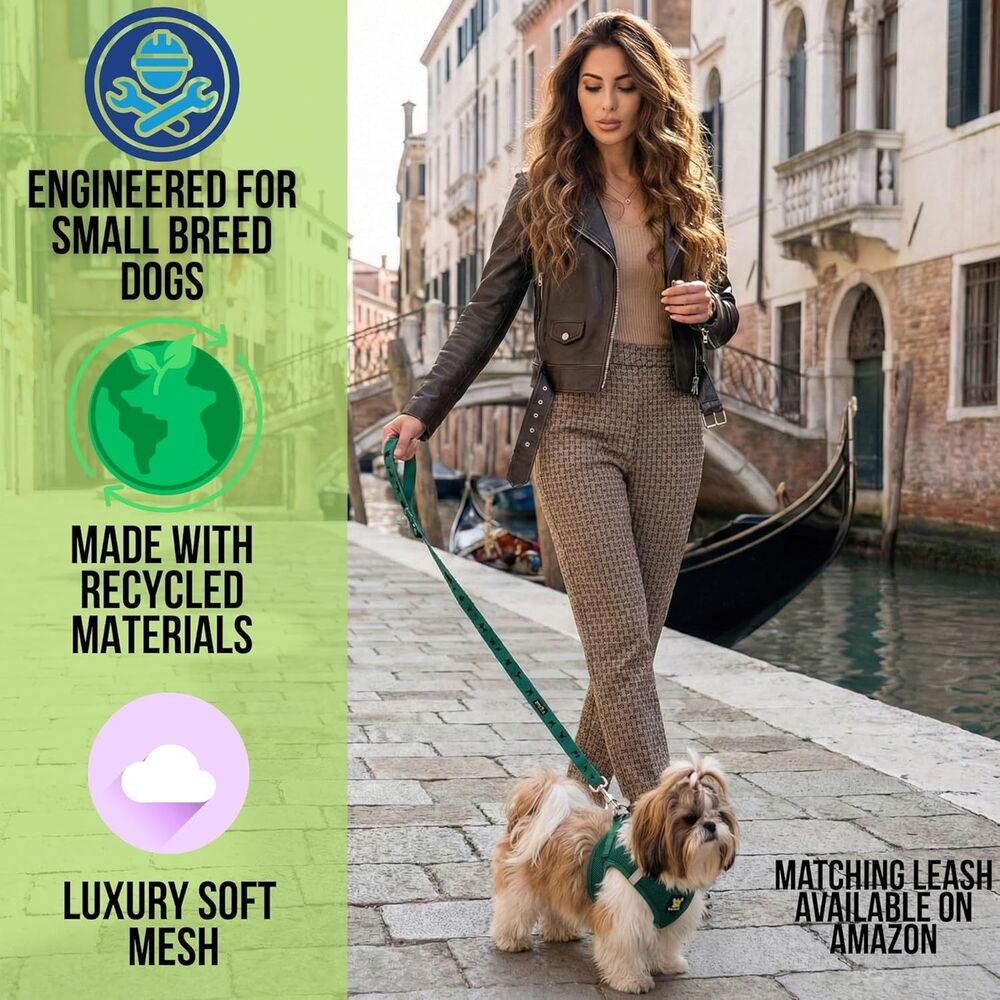 EcoBark Step in Dog Harness Reflective Soft Ultra Padded Mesh Forest Green XS